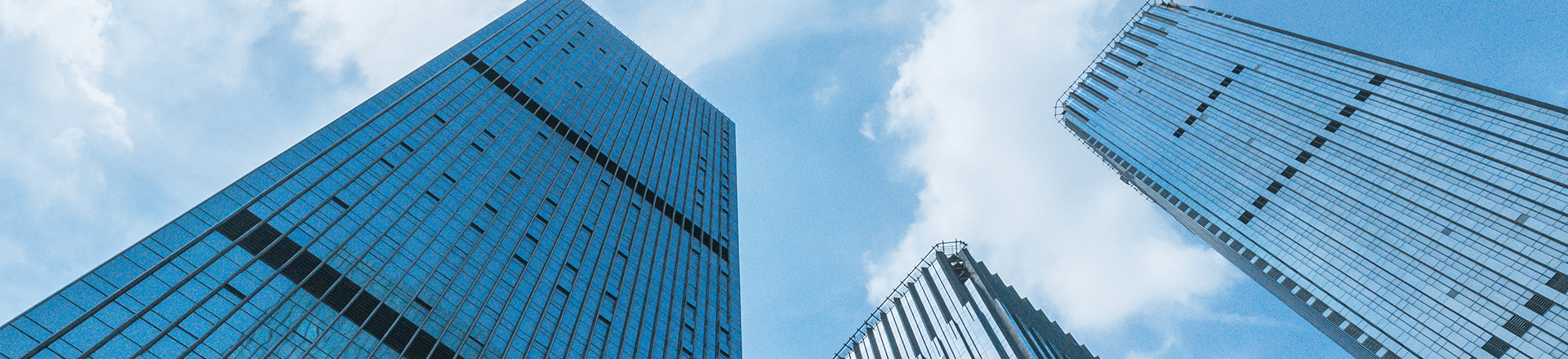 宝威在线开户app官方